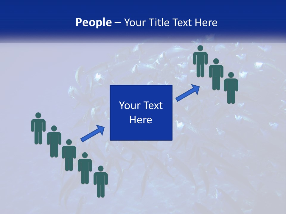 A Large Group Of Fish Swimming In The Ocean PowerPoint Template