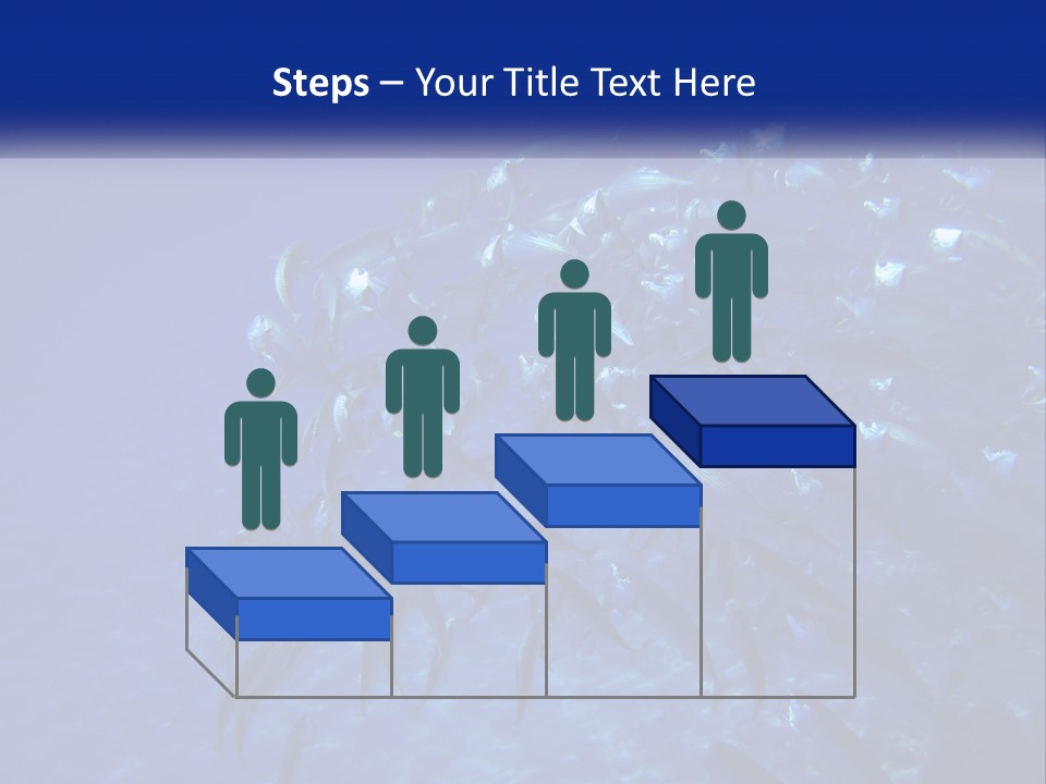 A Large Group Of Fish Swimming In The Ocean PowerPoint Template