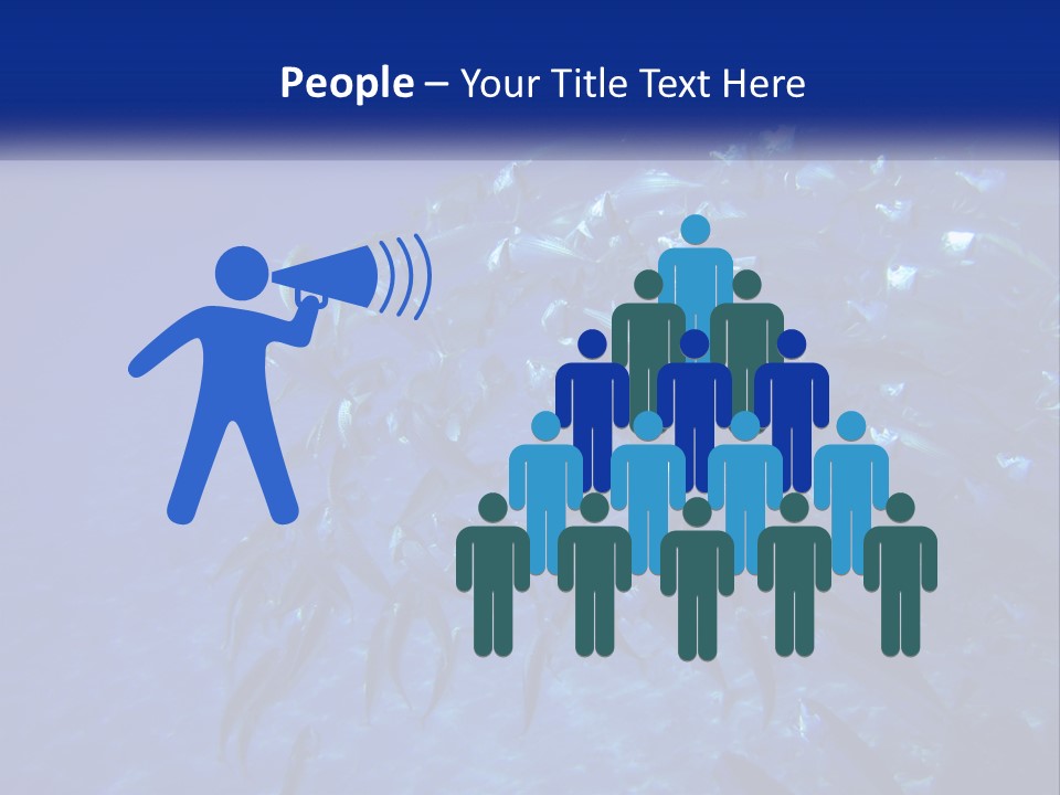 A Large Group Of Fish Swimming In The Ocean PowerPoint Template