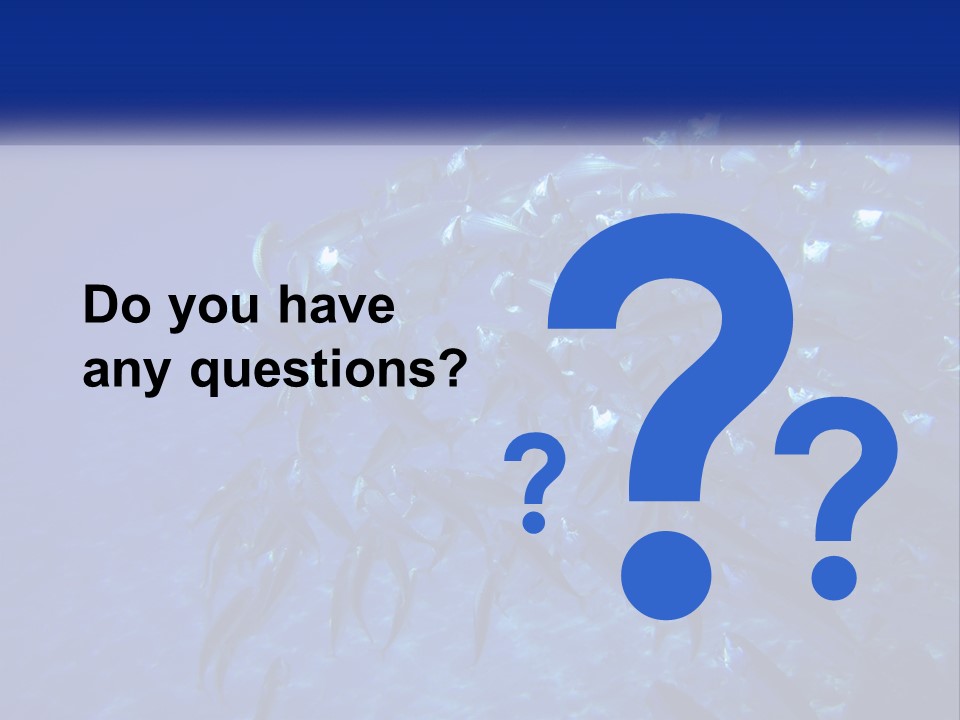 A Large Group Of Fish Swimming In The Ocean PowerPoint Template