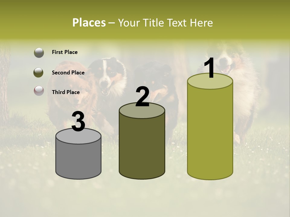 A Group Of Dogs Running In The Grass PowerPoint Template