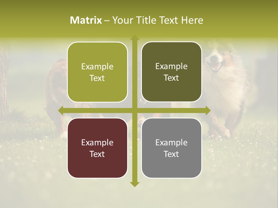 A Group Of Dogs Running In The Grass PowerPoint Template