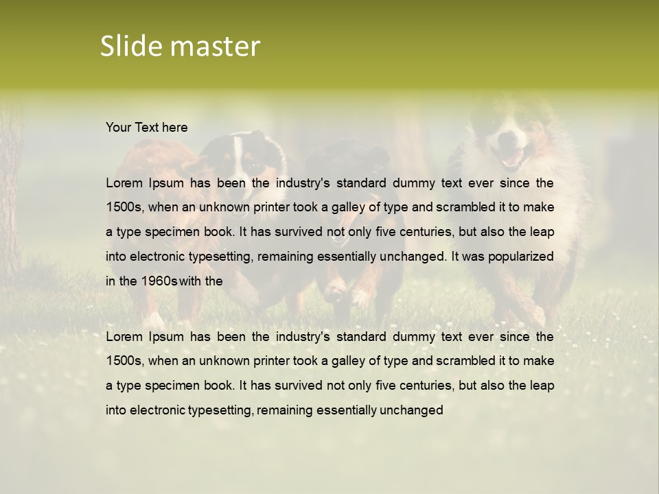 A Group Of Dogs Running In The Grass PowerPoint Template