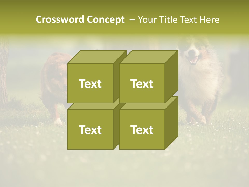 A Group Of Dogs Running In The Grass PowerPoint Template