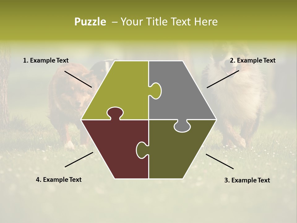 A Group Of Dogs Running In The Grass PowerPoint Template