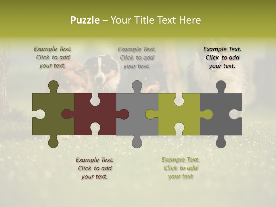 A Group Of Dogs Running In The Grass PowerPoint Template