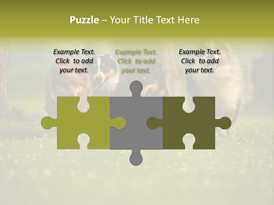 A Group Of Dogs Running In The Grass PowerPoint Template