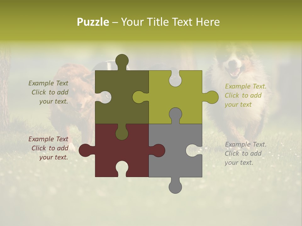 A Group Of Dogs Running In The Grass PowerPoint Template