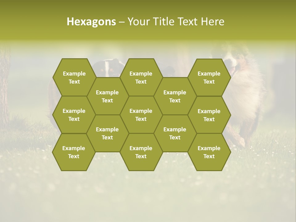 A Group Of Dogs Running In The Grass PowerPoint Template