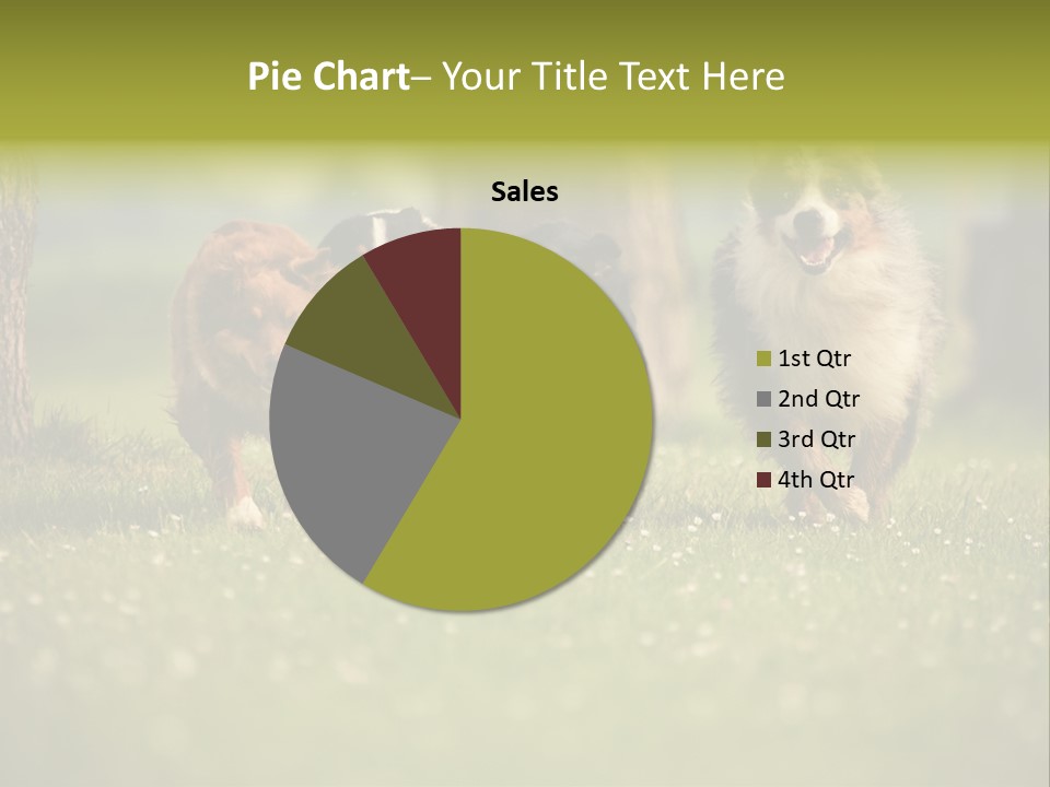 A Group Of Dogs Running In The Grass PowerPoint Template
