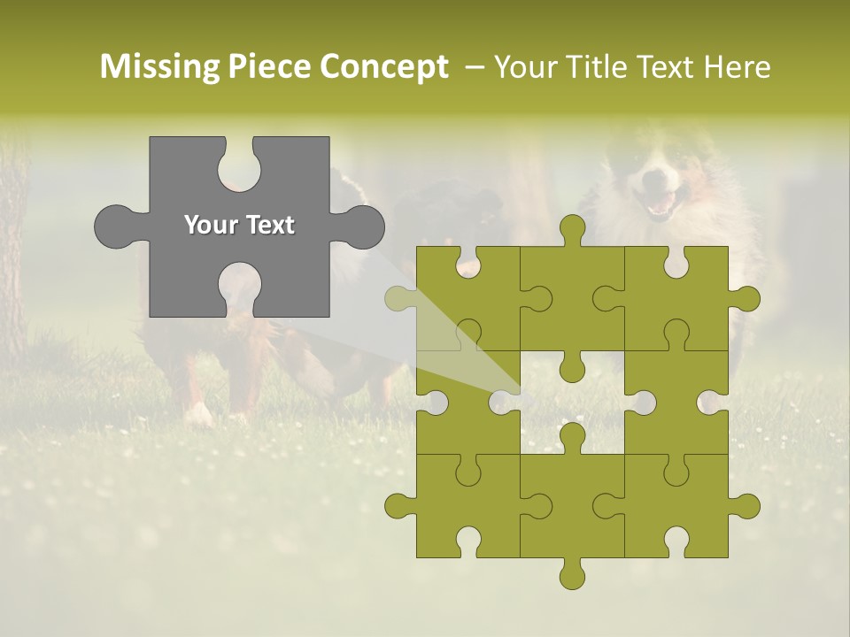 A Group Of Dogs Running In The Grass PowerPoint Template