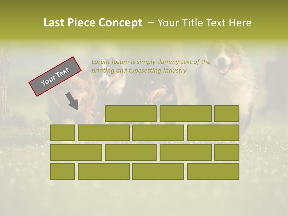A Group Of Dogs Running In The Grass PowerPoint Template