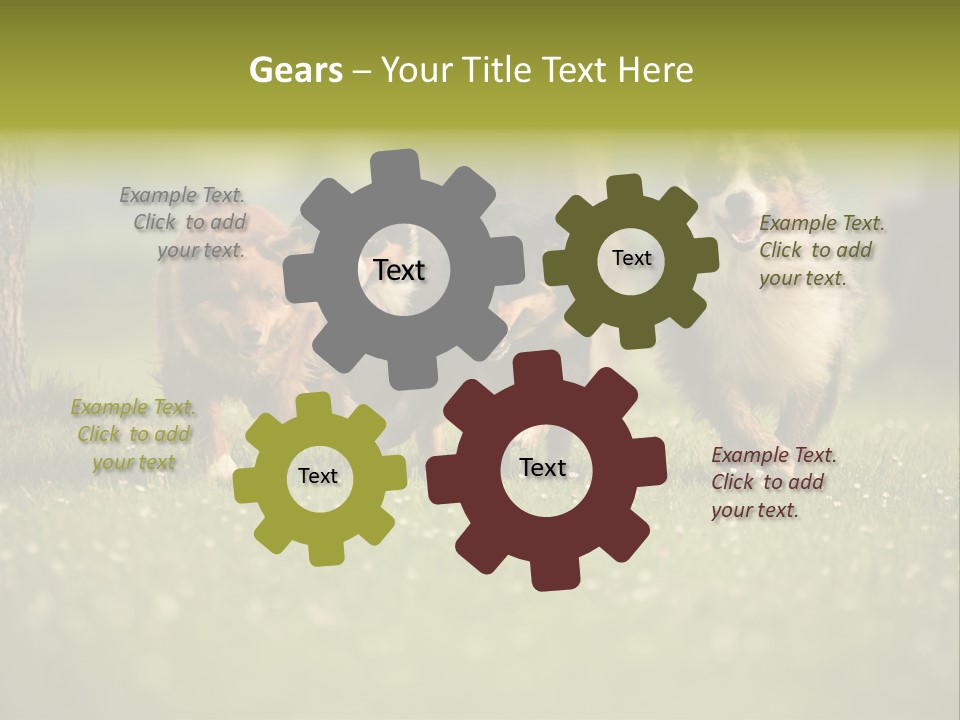 A Group Of Dogs Running In The Grass PowerPoint Template