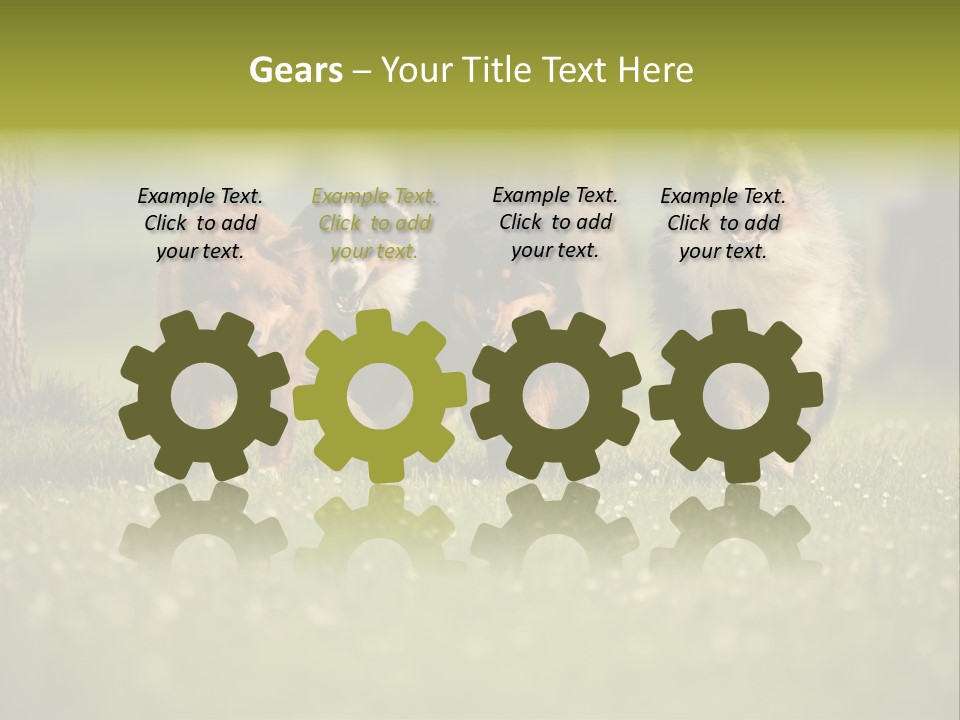 A Group Of Dogs Running In The Grass PowerPoint Template
