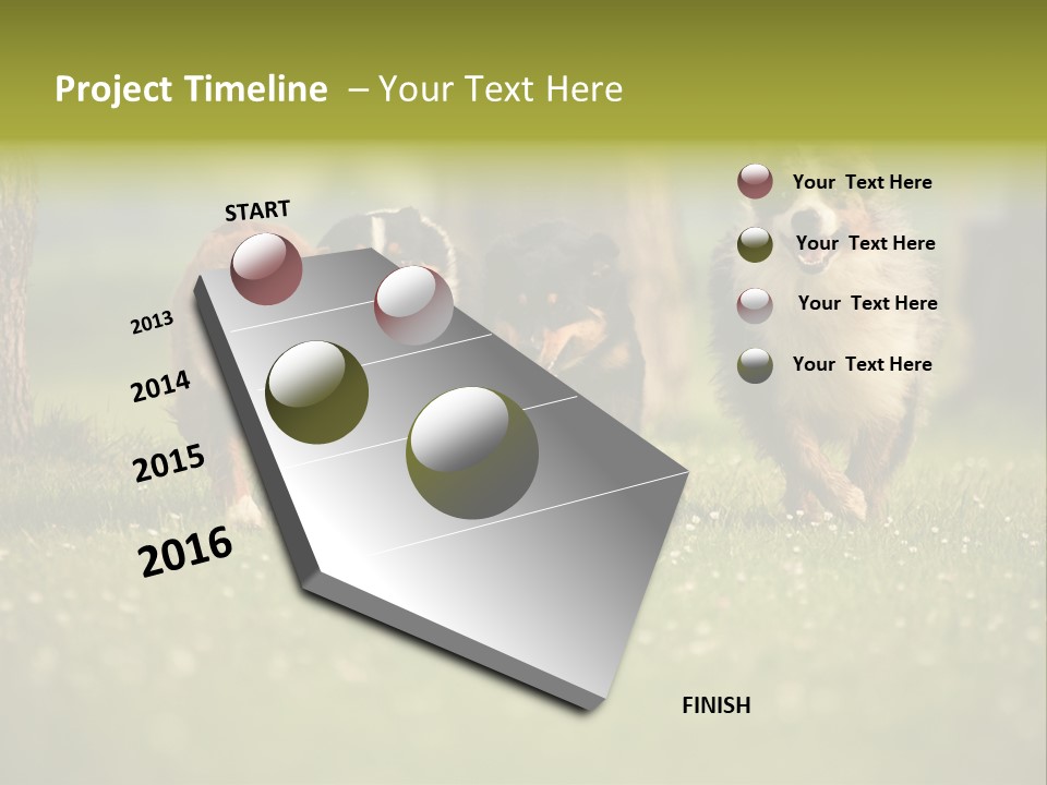 A Group Of Dogs Running In The Grass PowerPoint Template