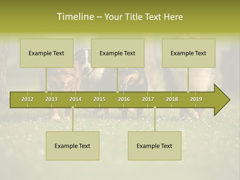 A Group Of Dogs Running In The Grass PowerPoint Template