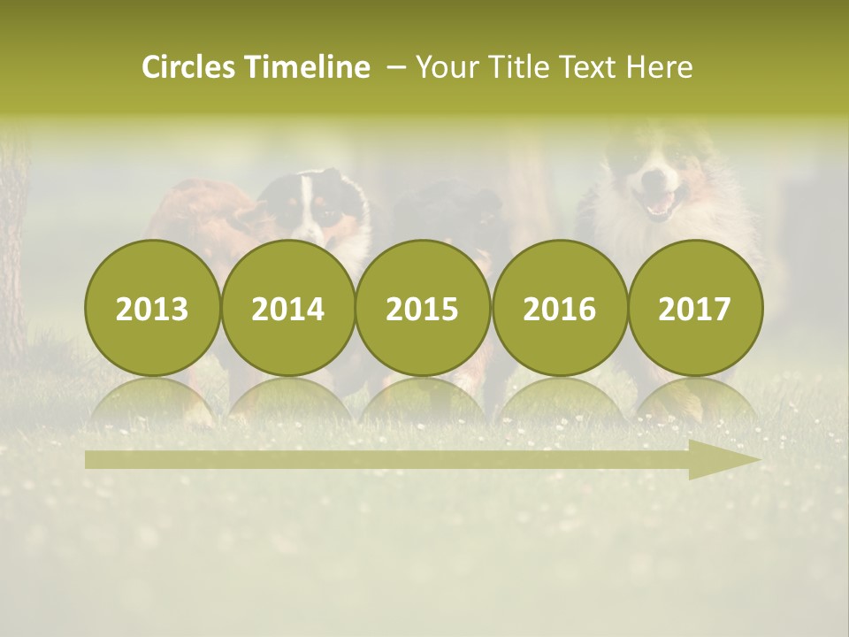 A Group Of Dogs Running In The Grass PowerPoint Template