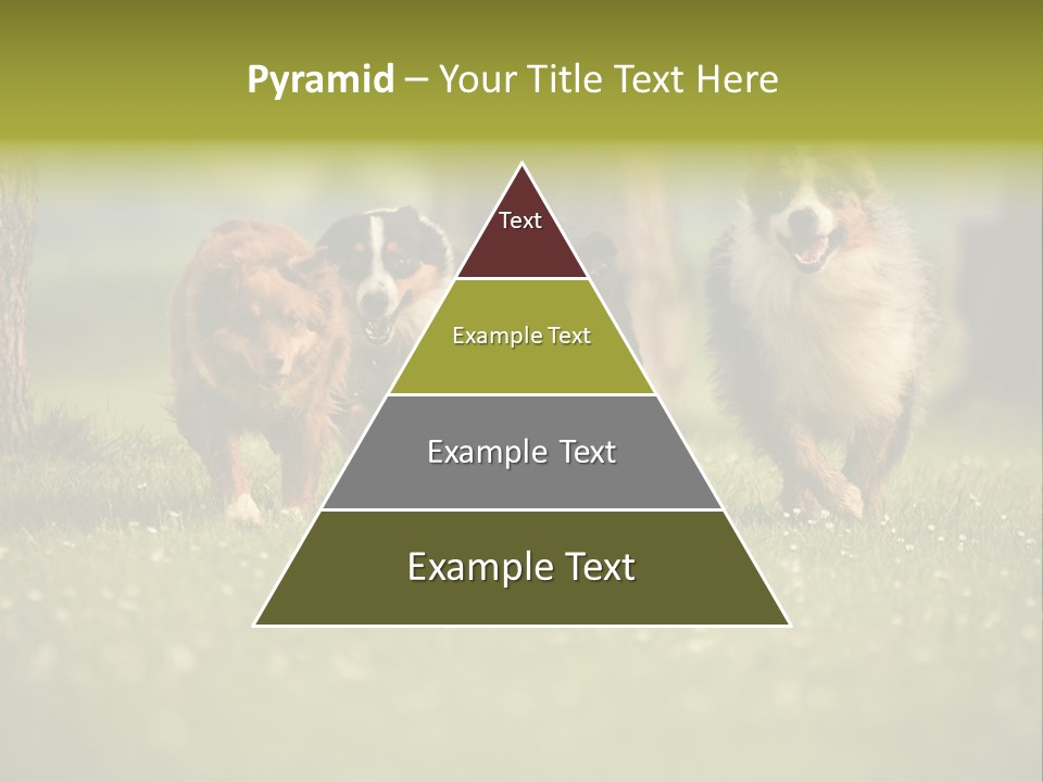 A Group Of Dogs Running In The Grass PowerPoint Template