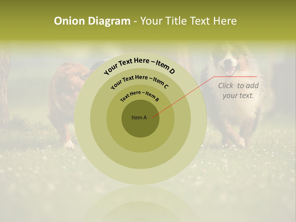 A Group Of Dogs Running In The Grass PowerPoint Template
