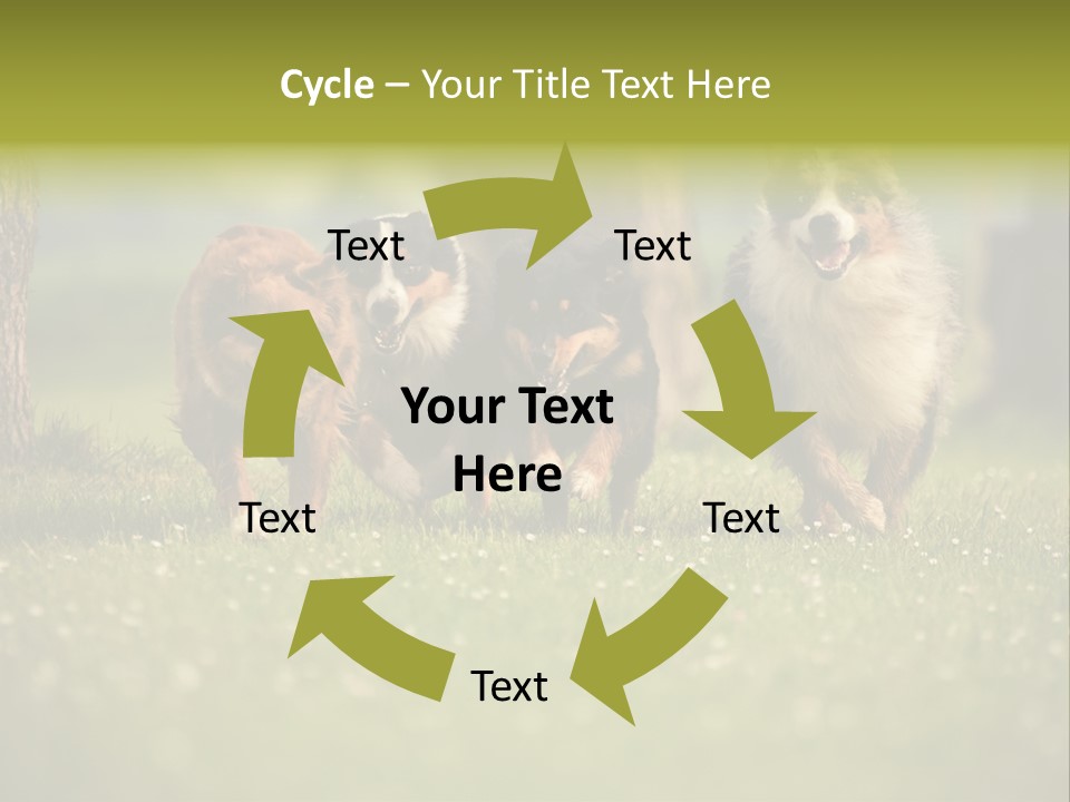 A Group Of Dogs Running In The Grass PowerPoint Template