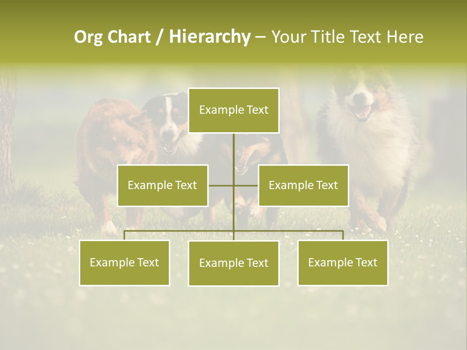 A Group Of Dogs Running In The Grass PowerPoint Template