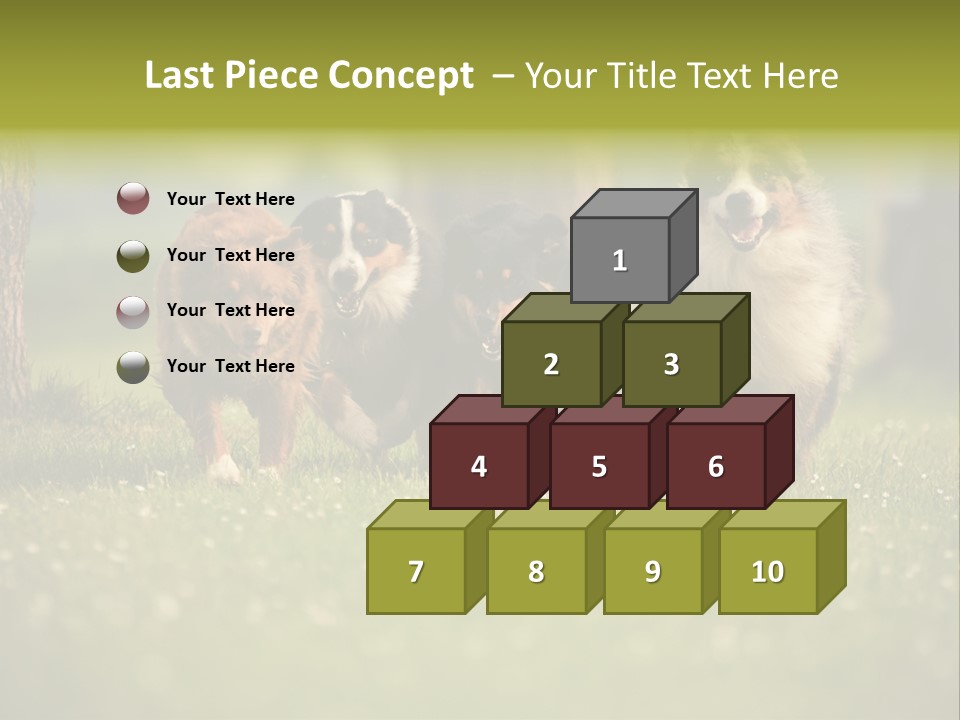 A Group Of Dogs Running In The Grass PowerPoint Template