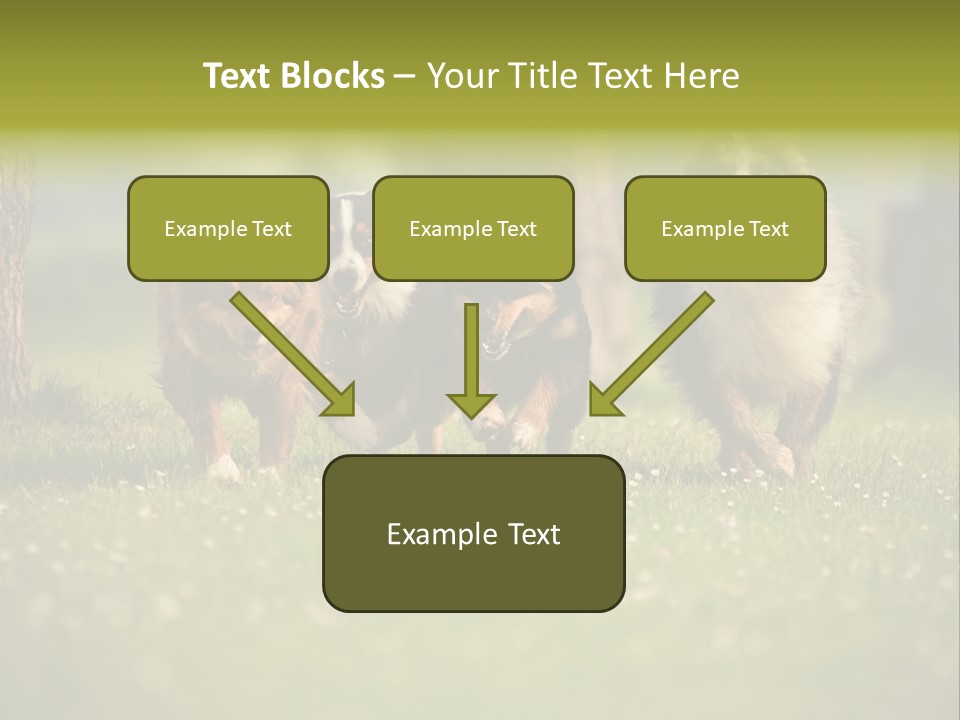 A Group Of Dogs Running In The Grass PowerPoint Template