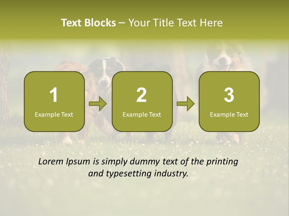 A Group Of Dogs Running In The Grass PowerPoint Template