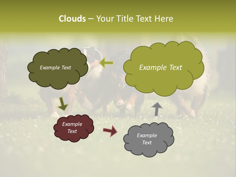 A Group Of Dogs Running In The Grass PowerPoint Template