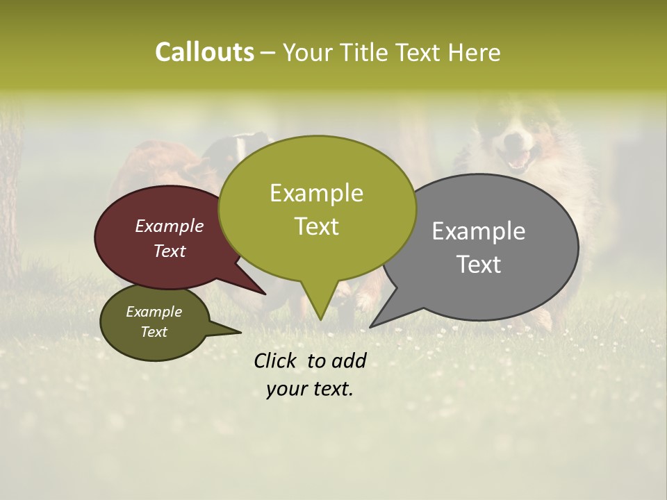 A Group Of Dogs Running In The Grass PowerPoint Template