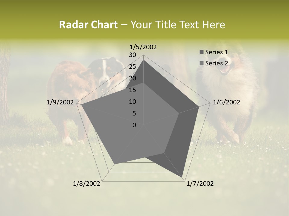 A Group Of Dogs Running In The Grass PowerPoint Template