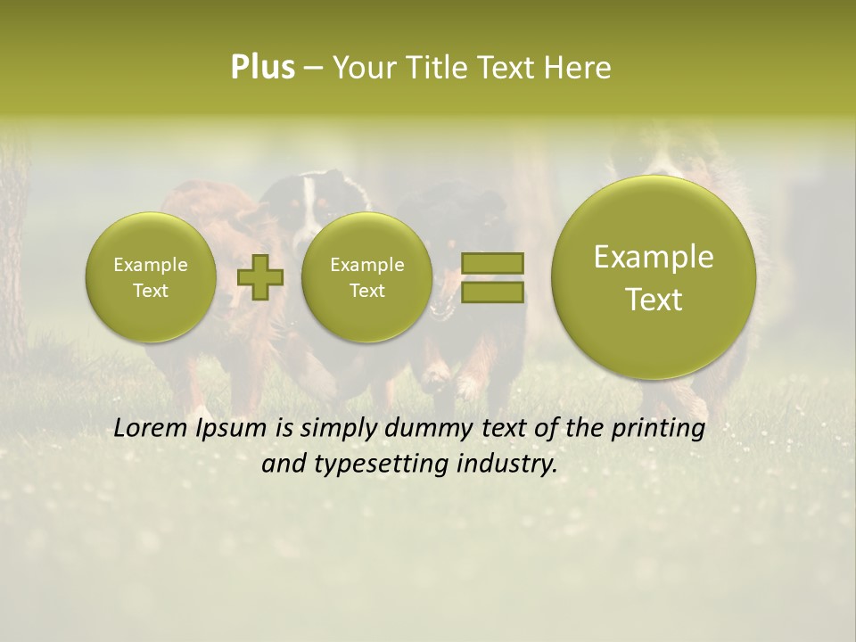 A Group Of Dogs Running In The Grass PowerPoint Template