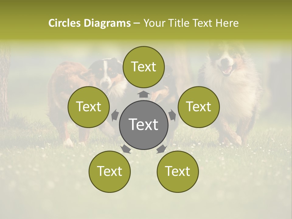 A Group Of Dogs Running In The Grass PowerPoint Template