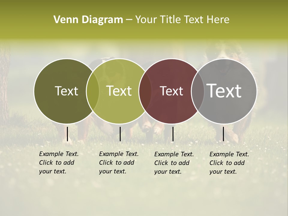 A Group Of Dogs Running In The Grass PowerPoint Template