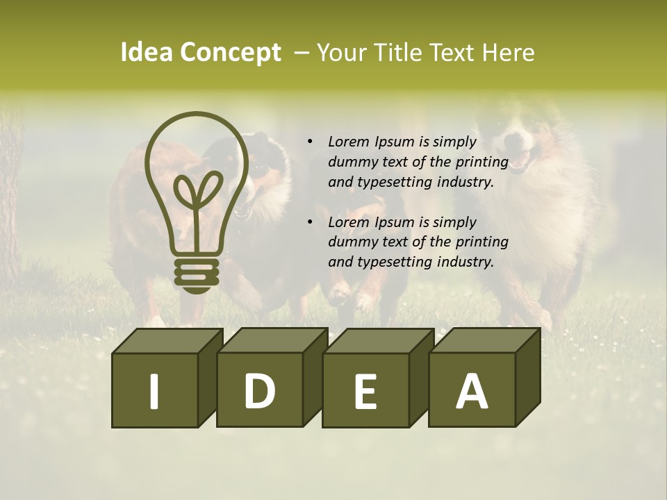 A Group Of Dogs Running In The Grass PowerPoint Template