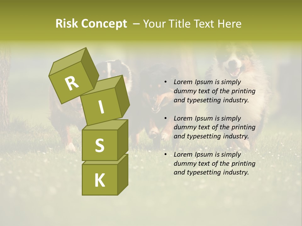 A Group Of Dogs Running In The Grass PowerPoint Template