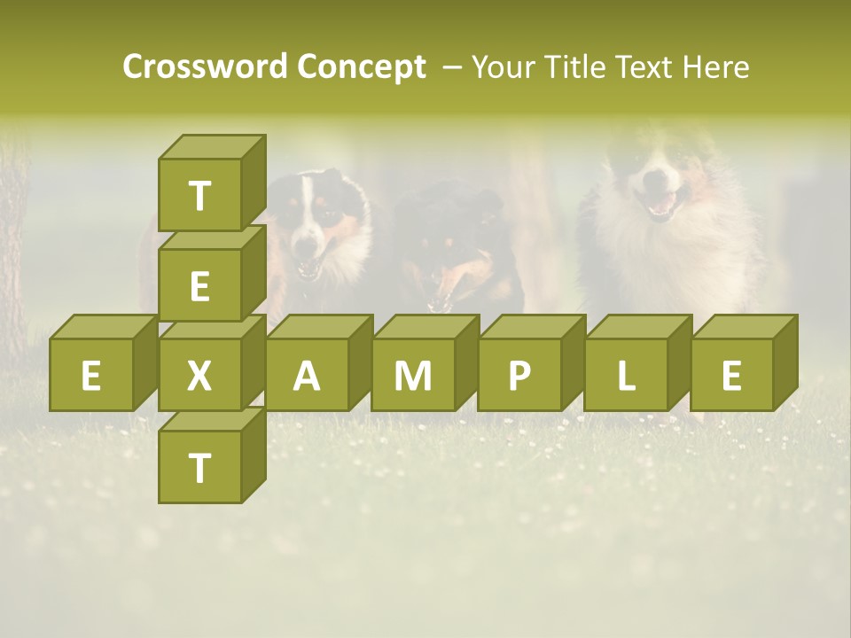 A Group Of Dogs Running In The Grass PowerPoint Template