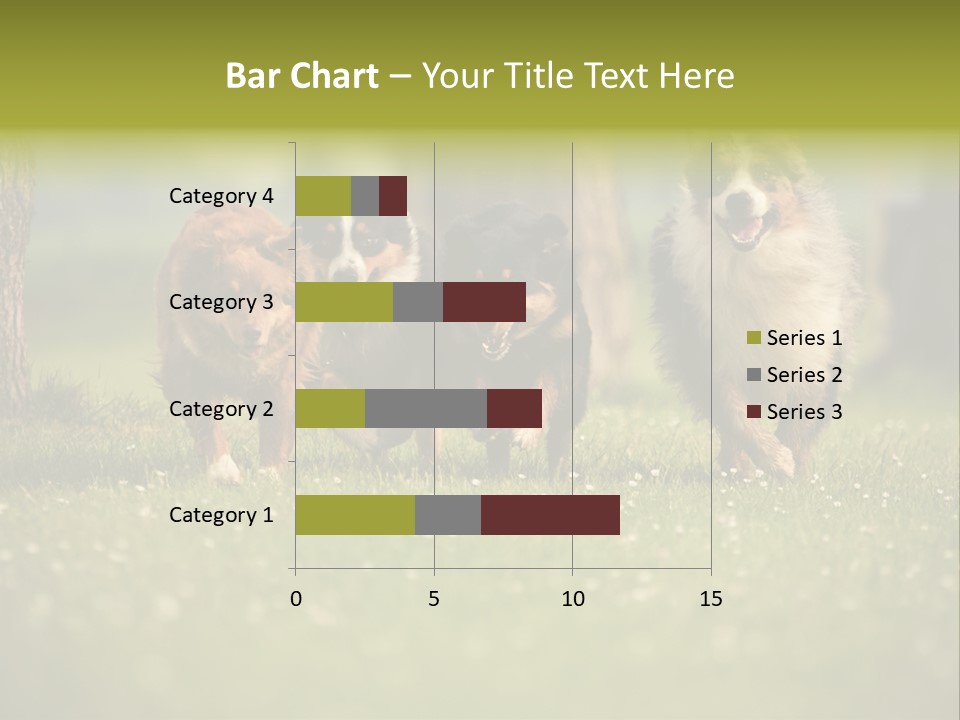 A Group Of Dogs Running In The Grass PowerPoint Template