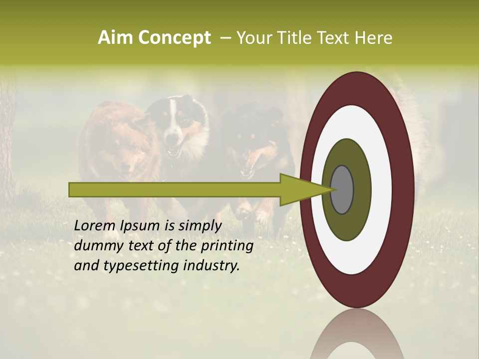 A Group Of Dogs Running In The Grass PowerPoint Template