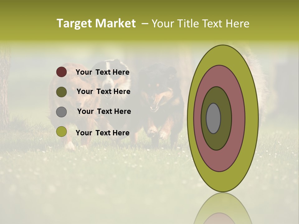 A Group Of Dogs Running In The Grass PowerPoint Template