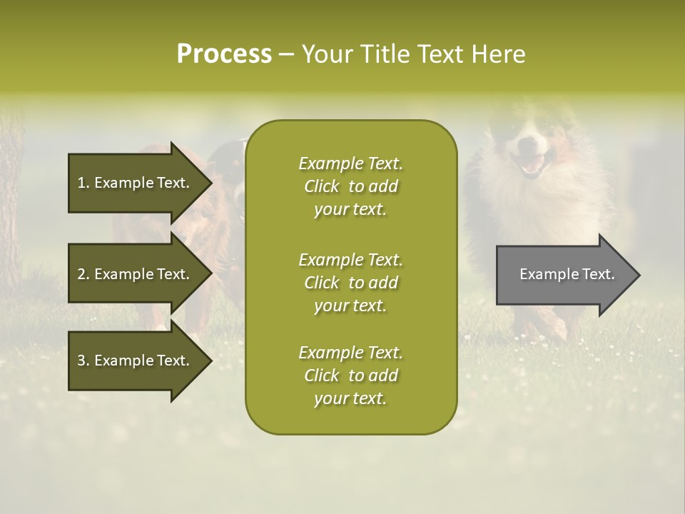 A Group Of Dogs Running In The Grass PowerPoint Template