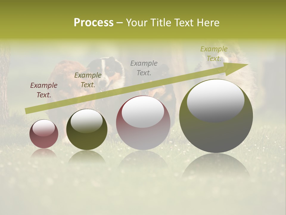 A Group Of Dogs Running In The Grass PowerPoint Template