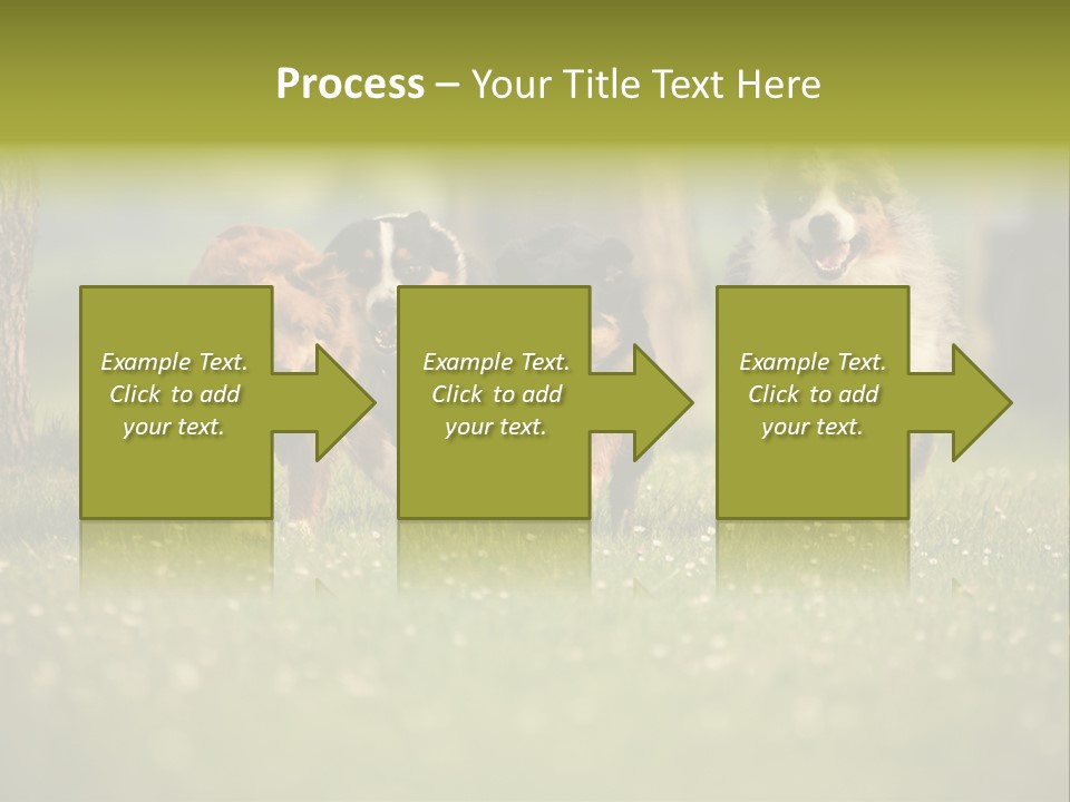A Group Of Dogs Running In The Grass PowerPoint Template