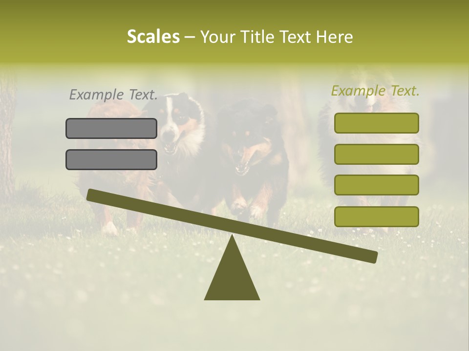 A Group Of Dogs Running In The Grass PowerPoint Template