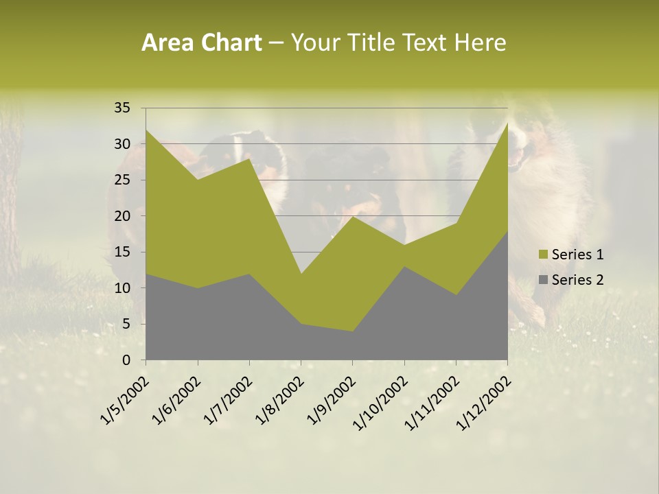A Group Of Dogs Running In The Grass PowerPoint Template