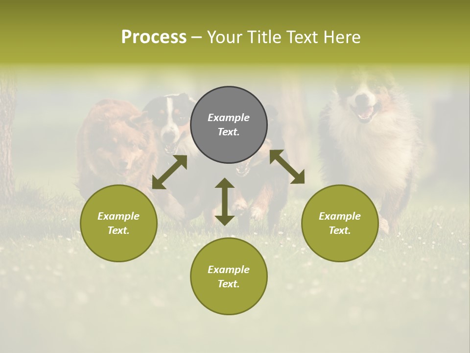 A Group Of Dogs Running In The Grass PowerPoint Template