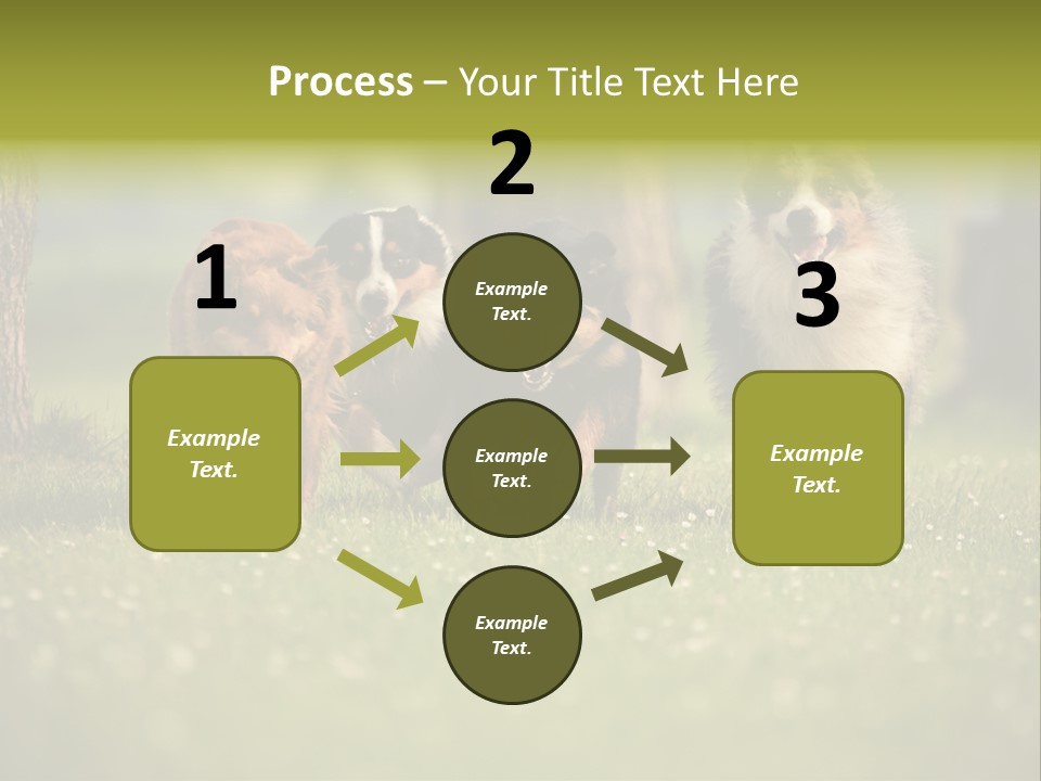 A Group Of Dogs Running In The Grass PowerPoint Template