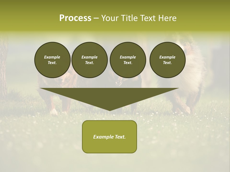 A Group Of Dogs Running In The Grass PowerPoint Template