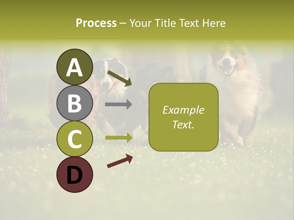 A Group Of Dogs Running In The Grass PowerPoint Template