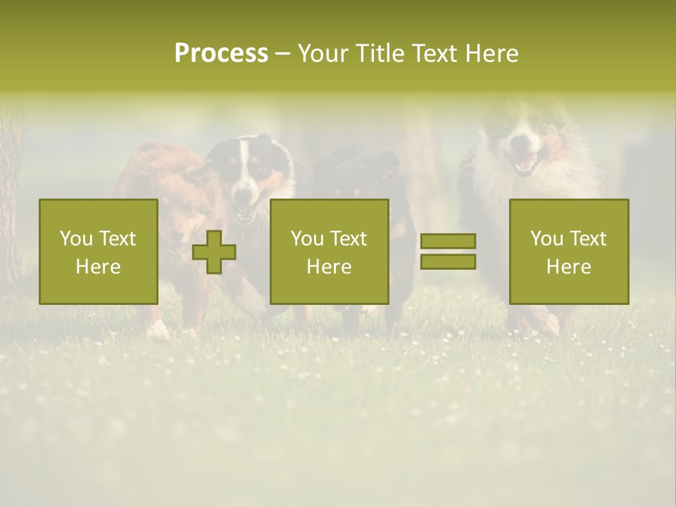 A Group Of Dogs Running In The Grass PowerPoint Template